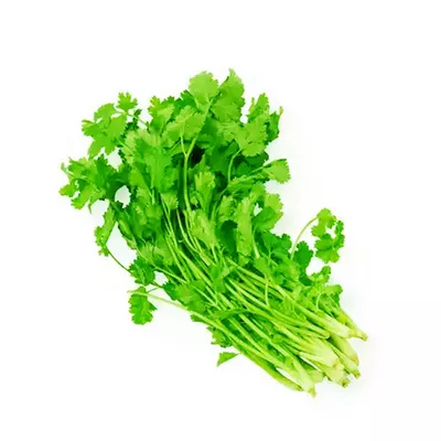 Coriander Leaves (Dhonia Pata) ± 10 gm